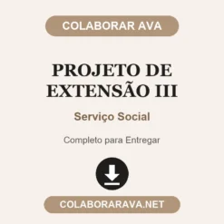 Projeto de Extensão III de Serviço Social pronto para entregar
