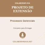 Portfólio individual Projeto de Extensão Processos Gerenciais