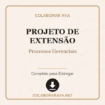 Projeto de Extensão Processos Gerenciais