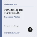 Portfolio Individual Projeto de Extensão Segurança Pública