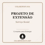 Portfólio Individual Projeto de Extensão Serviço Social