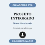projeto integrado 20 em binario ads
