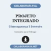 Projeto Integrado de Cibersegurança 3 Semestre pronto para entregar
