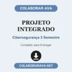 Projeto Integrado Cibersegurança 3 Semestre