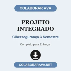 Projeto Integrado de Cibersegurança 3 Semestre pronto para entregar