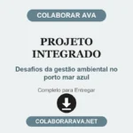 Projeto Integrado Desafios da gestão ambiental no porto mar azul