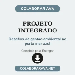 Projeto Integrado de Desafios da gestão ambiental no porto mar azul pronto para entregar