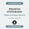Projeto Integrado de Gestão da Produção Industrial pronto para entregar