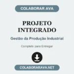 Projeto Integrado Gestão da Produção Industrial