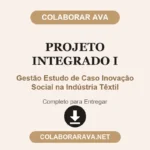 Projeto Integrado I Gestão Estudo de Caso Inovação Social na Indústria Têxtil