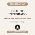 Projeto Integrado Ideia de uma aplicação Inovadora
