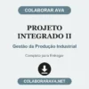 Projeto Integrado II de Gestão da Produção Industrial pronto para entregar