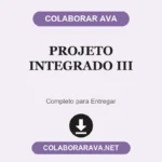 Plano de Ensino Projeto Integrado III