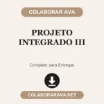 Projeto Integrado III
