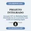 Projeto Integrado de Inovação CST em Marketing Digital Otimização de um e-commerce com auxílio do marketing digital pronto para entregar