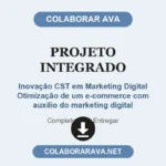 Projeto Integrado Inovação CST em Marketing Digital Otimização de um e-commerce com auxílio do marketing digital