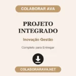 Portfolio Individual Projeto Integrado Inovação Gestão