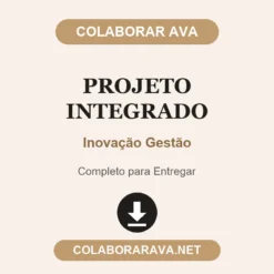 Projeto Integrado de Inovação Gestão pronto para entregar