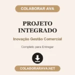 Projeto Integrado Inovação Gestão Comercial
