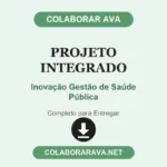 Projeto Integrado Inovação Gestão de Saúde Pública