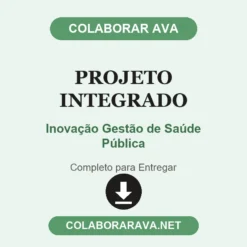 Projeto Integrado de Inovação Gestão de Saúde Pública pronto para entregar