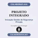 Projeto Integrado Inovação Gestão de Segurança Privada