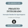 Projeto Integrado de Inovação Gestão Do Agronegócio pronto para entregar