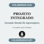 Projeto Integrado Inovação Gestão Do Agronegócio