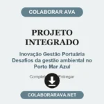 Projeto Integrado Inovação Gestão Portuária Desafios da gestão ambiental no Porto Mar Azul
