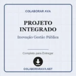 Projeto Integrado Inovação Gestão Pública