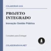 Projeto Integrado de Inovação Gestão Pública pronto para download