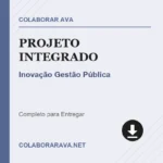 Projeto Integrado Inovação Gestão Pública