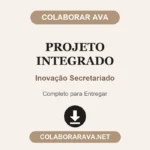 Projeto Integrado Inovação Secretariado
