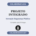 Projeto Integrado Inovação Segurança Pública