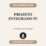 Projeto Integrado IV