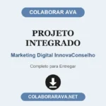 Projeto Integrado Marketing Digital InnovaConselho