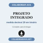 Projeto Integrado medida decimal 20 em binário