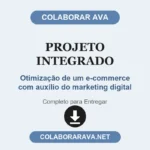 Projeto Integrado Otimização de um e-commerce com auxílio do marketing digital