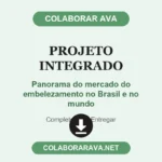 Projeto Integrado Panorama do mercado do embelezamento no Brasil e no mundo