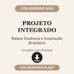 Projeto integrado Raízes Essência e Inspiração Brasileira