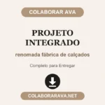 Projeto integrado renomada fábrica de calçados
