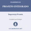 Projeto Integrado de Segurança Privada pronto para download