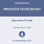 Projeto Integrado Segurança Privada