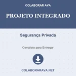 Projeto Integrado Segurança Privada