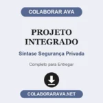 Projeto Integrado Síntase Segurança Privada