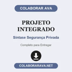Projeto Integrado de Síntase Segurança Privada pronto para entregar
