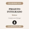 Projeto Integrado de Síntese pronto para entregar