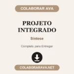 Projeto Integrado Síntese
