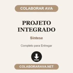 Projeto Integrado de Síntese pronto para entregar