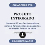 Projeto Integrado Síntese CST em Gestão Análises gerais e fundamentais dos aspectos de Gestão Pública de crise